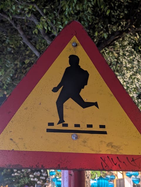 Pxl 20241229 122248355
